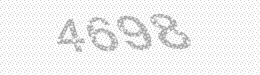 Visual security code — type the characters shown in the image