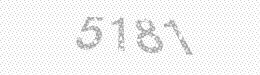 Visual security code — type the characters shown in the image
