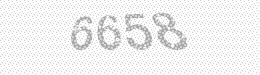 Visual security code — type the characters shown in the image